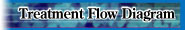 to Treatment Flow Diagram